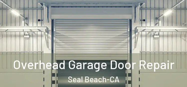  Overhead Garage Door Repair Seal Beach-CA