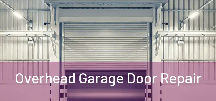  Overhead Garage Door Repair 